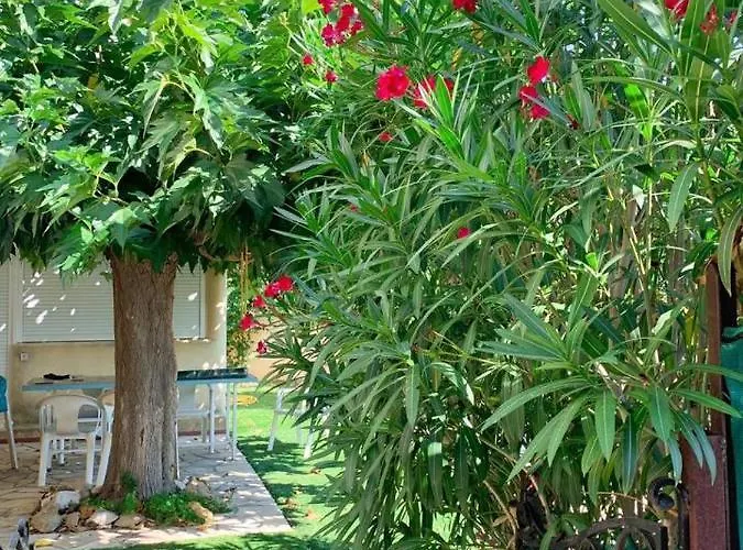 Villa Chez Anne *